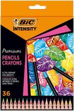 Barevné pastelky "Intensity Premium", 36 barev, BIC, 951852 - 2/2