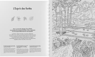 Kniha - omalovánky "L'Esprit des Forêts", CARAN D'ACHE 454.802 - 3