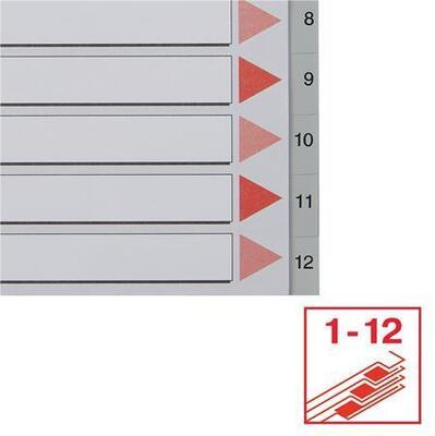 Rejstříky, šedá, A4, plast, 1-12, ESSELTE - 4