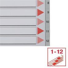 Rejstříky, šedá, A4, plast, 1-12, ESSELTE - 4/6