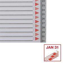 Rejstříky, šedá, A4, plast, 1-31, ESSELTE - 4/6
