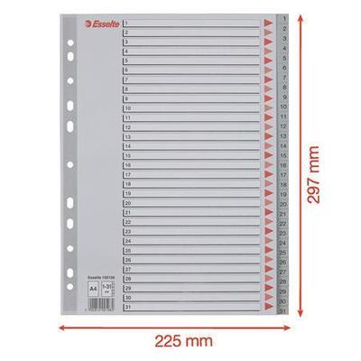 Rejstříky, šedá, A4, plast, 1-31, ESSELTE - 5