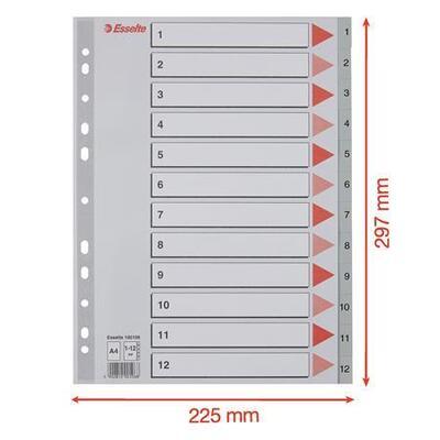 Rejstříky, šedá, A4, plast, 1-12, ESSELTE - 5