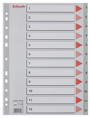 Rejstříky, šedá, A4, plast, 1-12, ESSELTE - 6